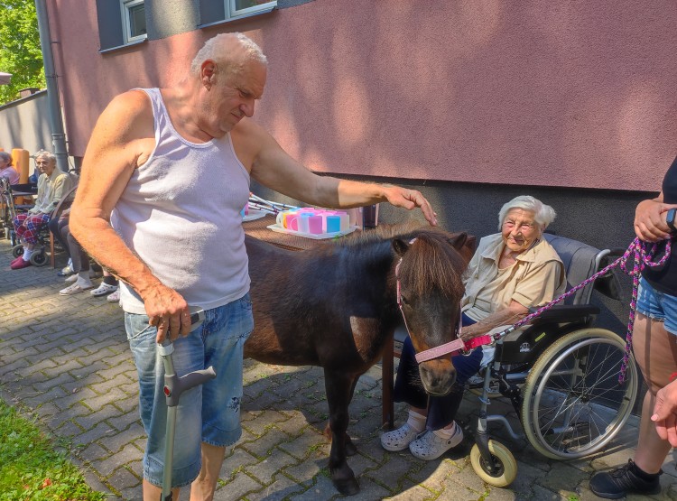 Aktivity v 22. týdnu v Centru sociálních služeb Domus