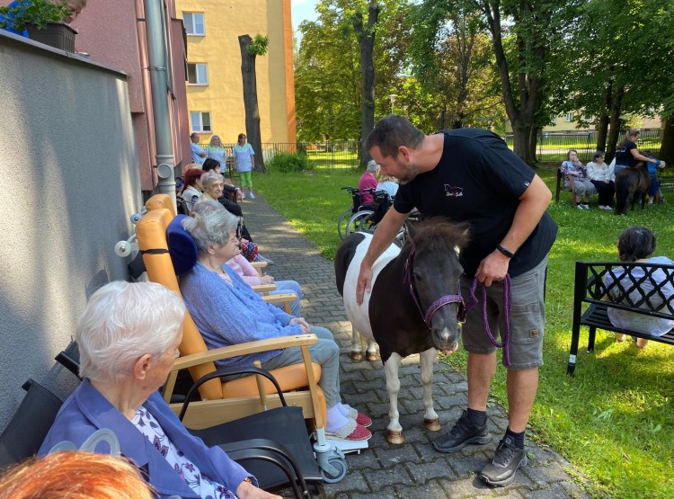 Aktivity v květnu 2024 v Centru sociálních služeb Domus