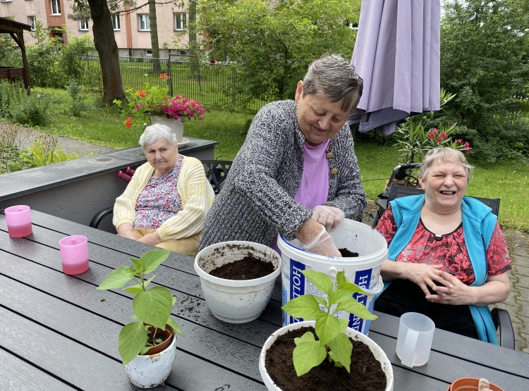 Aktivity v 26. týdnu v Centru sociálních služeb Domus