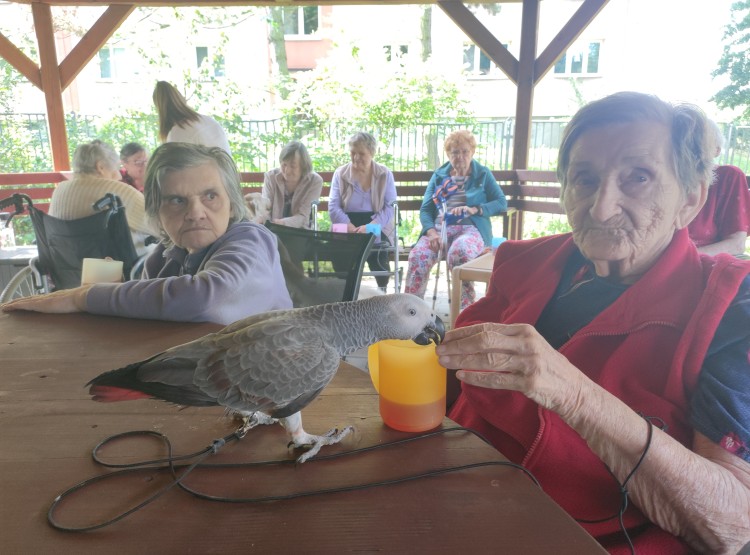 Zooterapie v Centru sociálních služeb Domus