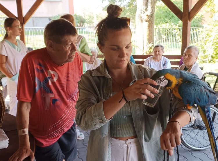 Zooterapie v Centru sociálních služeb Domus