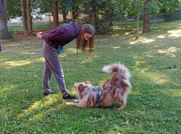 Dogfrisbee v Centru sociálních služeb Domus