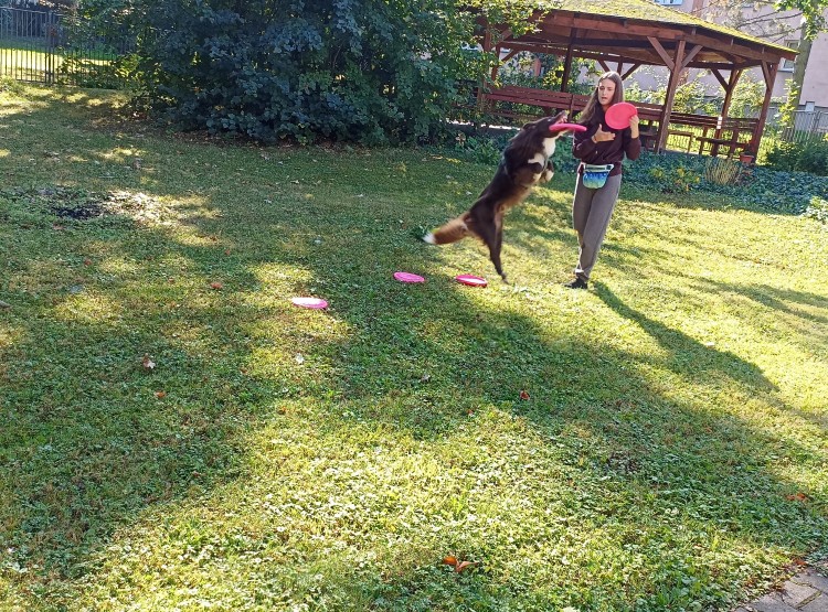 Dogfrisbee v Centru sociálních služeb Domus