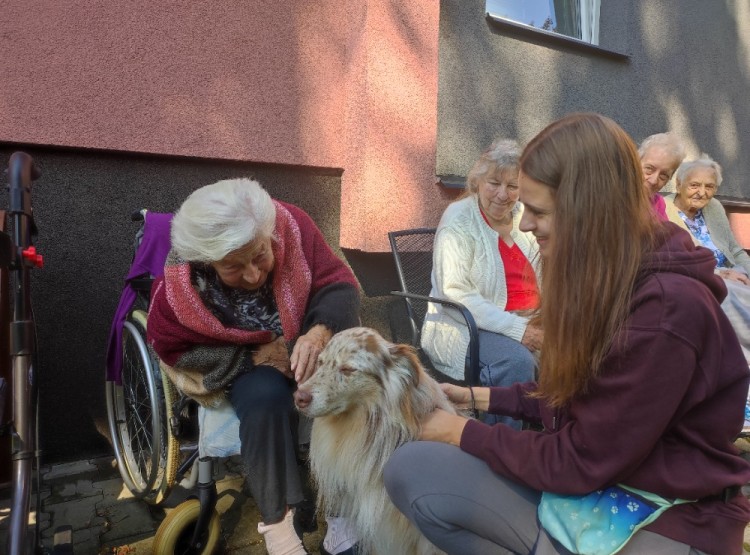 Dogfrisbee v Centru sociálních služeb Domus