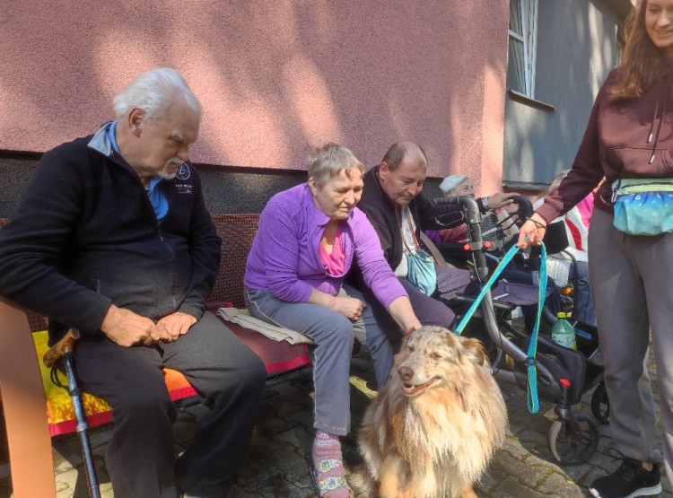 Dogfrisbee v Centru sociálních služeb Domus