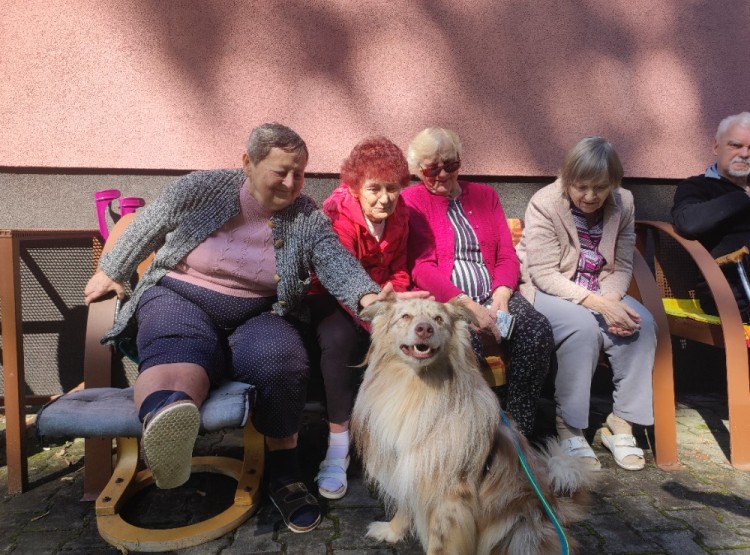 Dogfrisbee v Centru sociálních služeb Domus