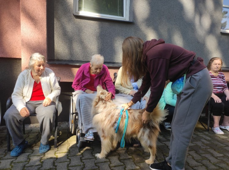 Dogfrisbee v Centru sociálních služeb Domus