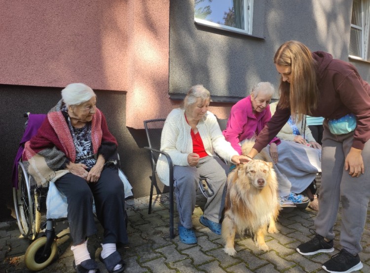 Dogfrisbee v Centru sociálních služeb Domus