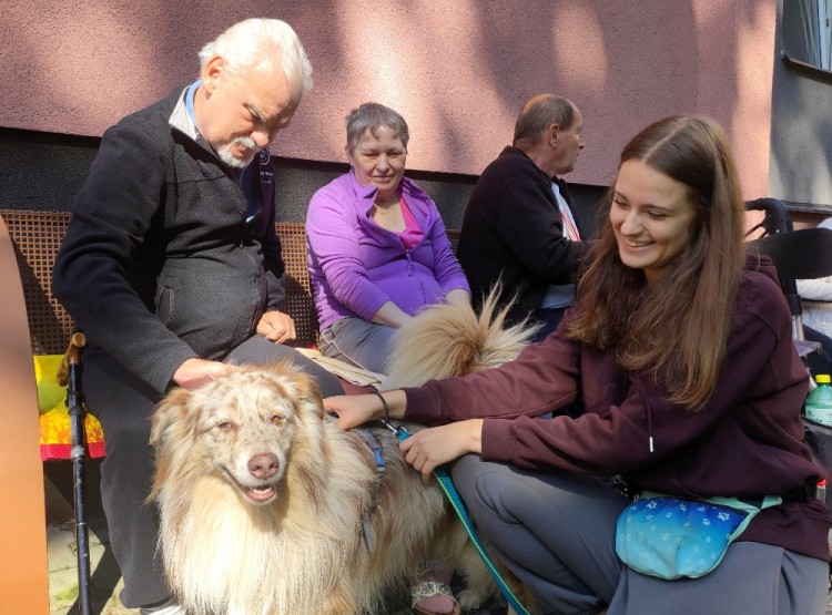 Dogfrisbee v Centru sociálních služeb Domus