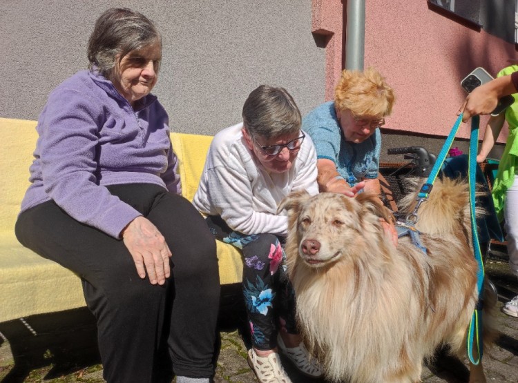 Dogfrisbee v Centru sociálních služeb Domus