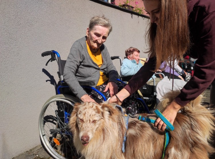 Dogfrisbee v Centru sociálních služeb Domus