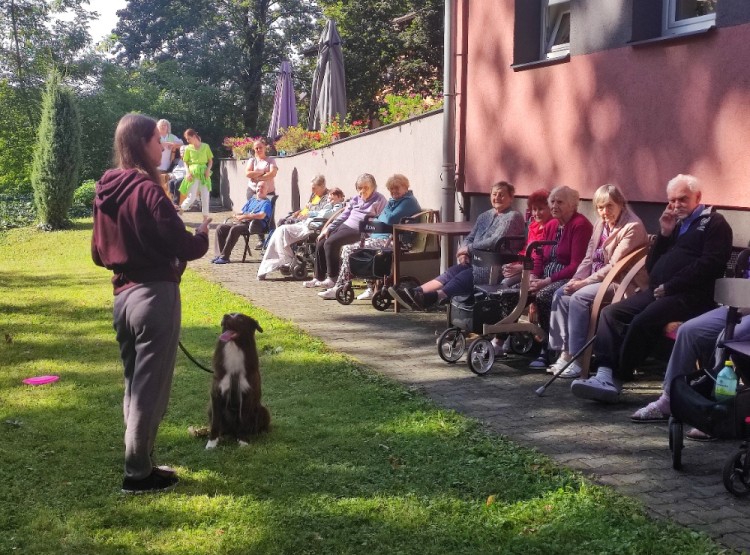 Dogfrisbee v Centru sociálních služeb Domus