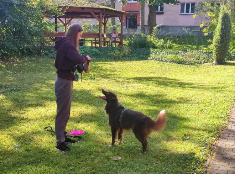 Dogfrisbee v Centru sociálních služeb Domus