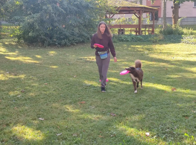 Dogfrisbee v Centru sociálních služeb Domus