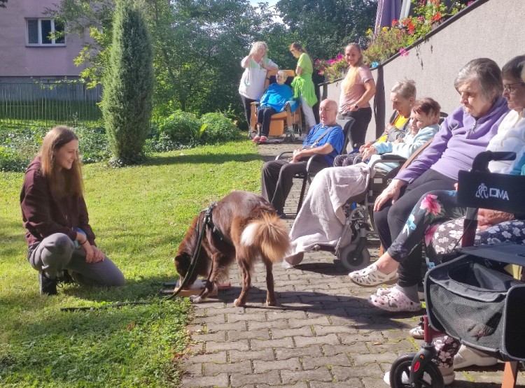 Dogfrisbee v Centru sociálních služeb Domus