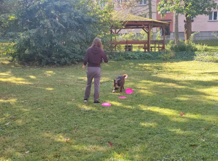 Dogfrisbee v Centru sociálních služeb Domus