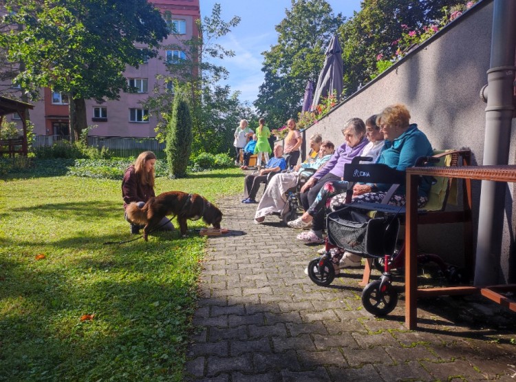 Dogfrisbee v Centru sociálních služeb Domus