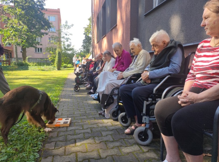 Dogfrisbee v Centru sociálních služeb Domus