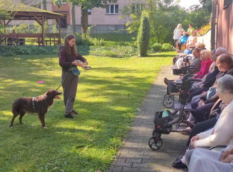 Dogfrisbee v Centru sociálních služeb Domus