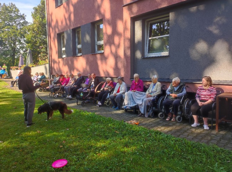 Dogfrisbee v Centru sociálních služeb Domus