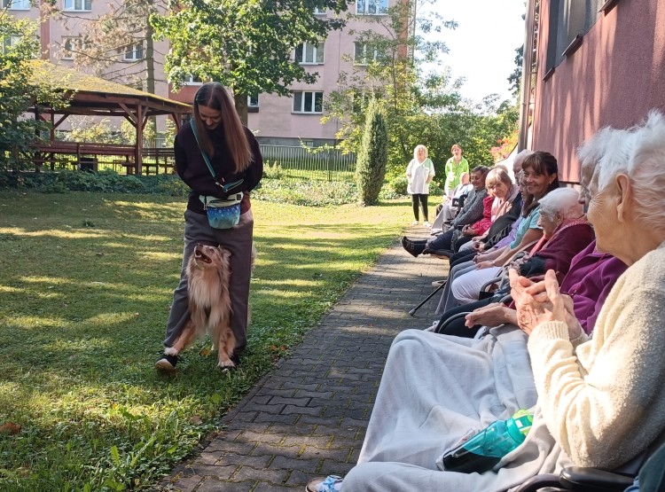 Dogfrisbee v Centru sociálních služeb Domus