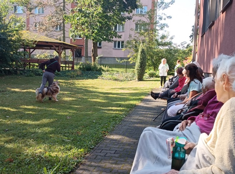 Dogfrisbee v Centru sociálních služeb Domus