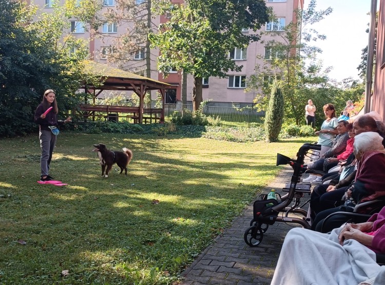 Dogfrisbee v Centru sociálních služeb Domus