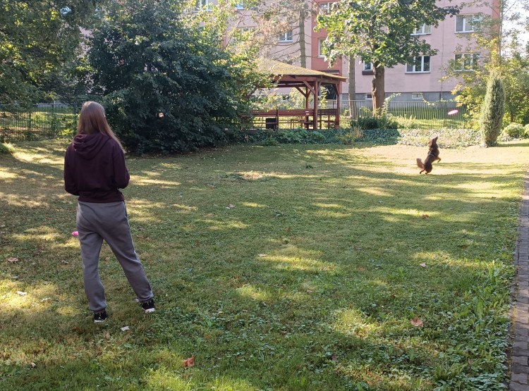 Dogfrisbee v Centru sociálních služeb Domus