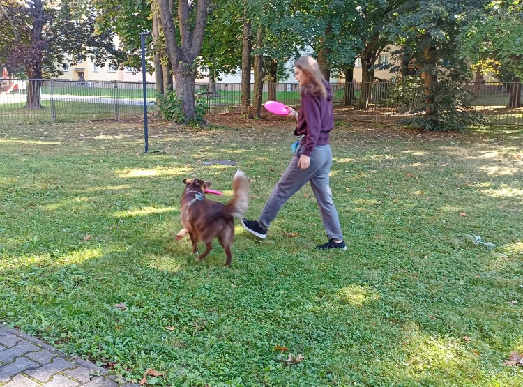 Dogfrisbee v Centru sociálních služeb Domus