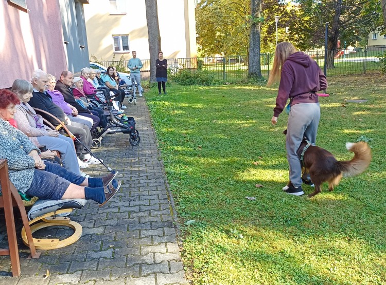 Dogfrisbee v Centru sociálních služeb Domus