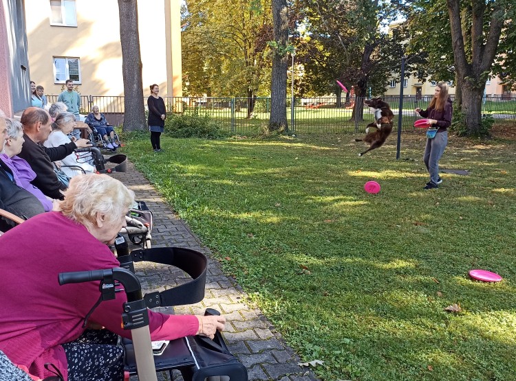 Dogfrisbee v Centru sociálních služeb Domus