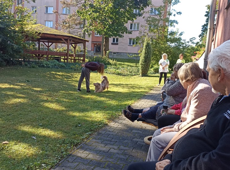 Dogfrisbee v Centru sociálních služeb Domus