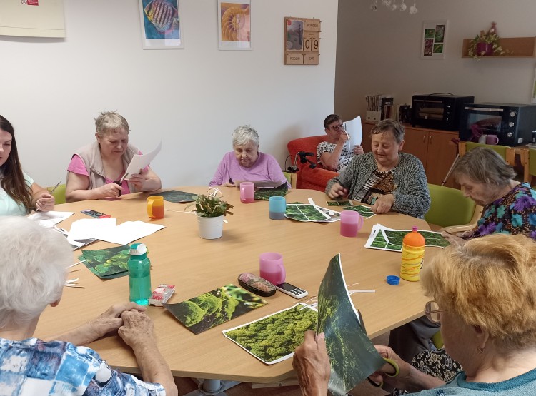 Výroba kouzelného lesa v Centru sociálních služeb Domus