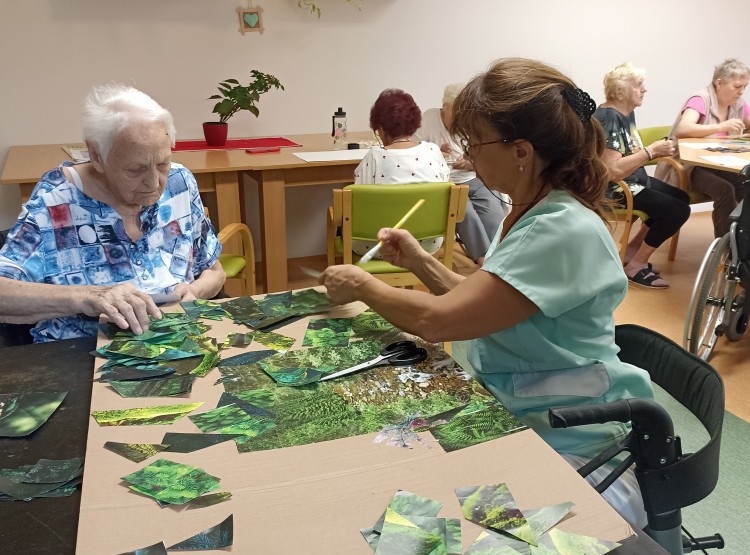 Výroba kouzelného lesa v Centru sociálních služeb Domus