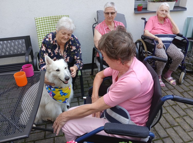 Bingo, reminiscence a milá seznamovací návštěva v Centru sociálních služeb Emausy