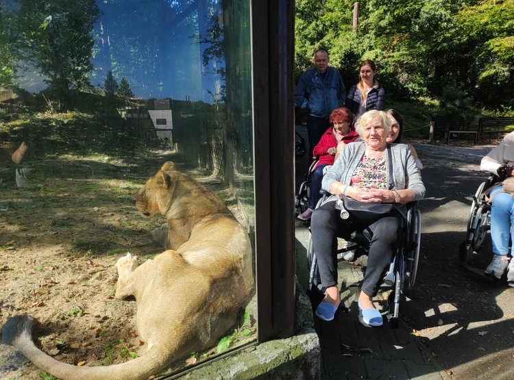 Návštěva Zoologické zahrady v Ostravě