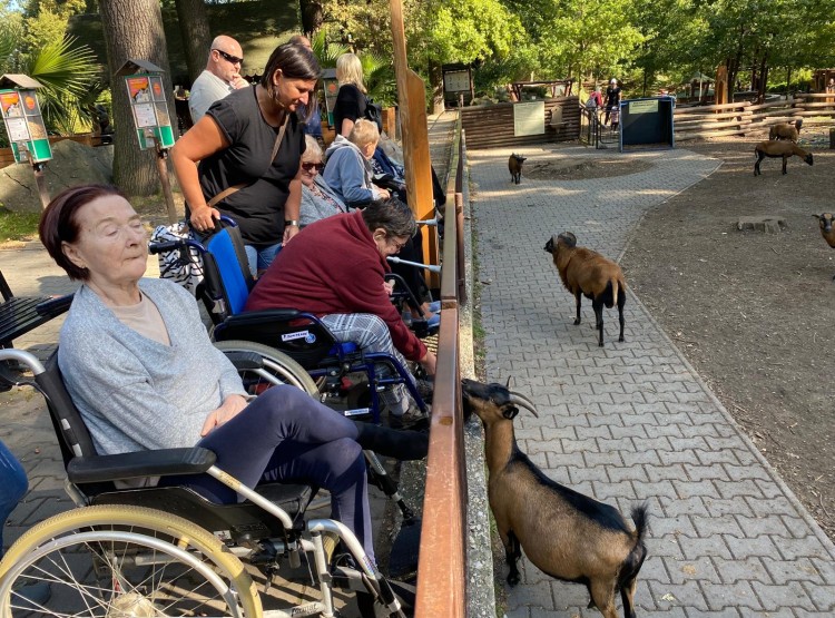 Návštěva Zoologické zahrady v Ostravě