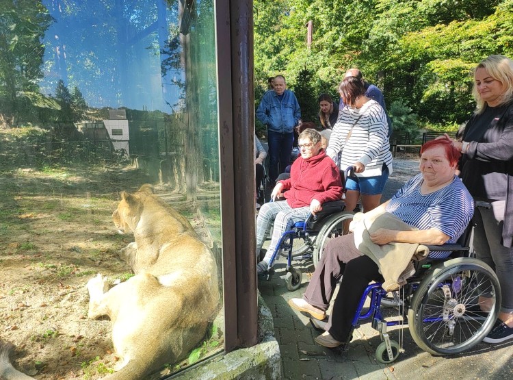 Návštěva Zoologické zahrady v Ostravě