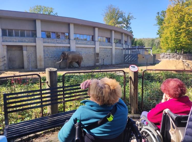 Návštěva Zoologické zahrady v Ostravě