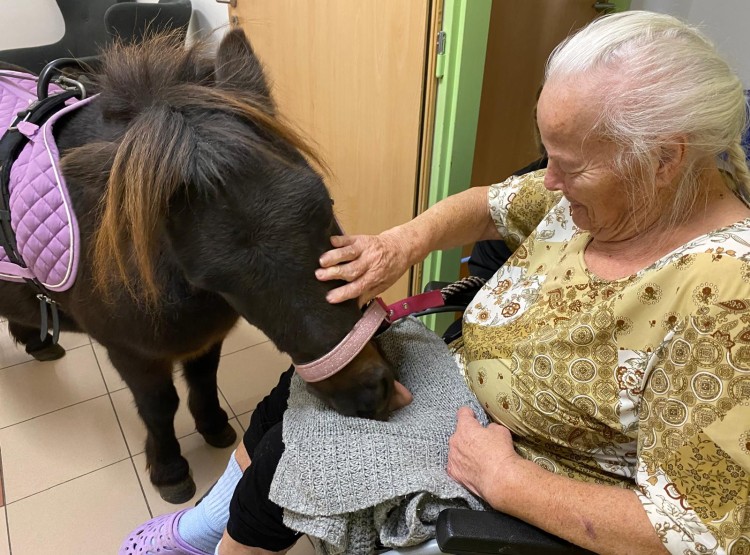 Animoterapie v Centru sociálních služeb Domus