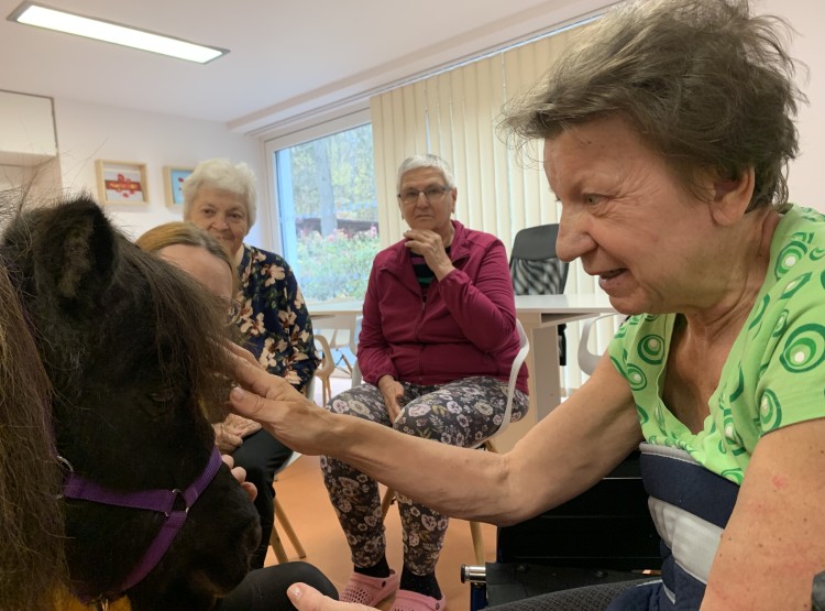 Zooterapie v Centru sociálních služeb Emausy