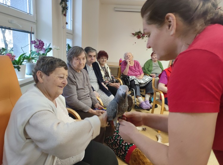 Zooterapie v Centru sociálních služeb Domus