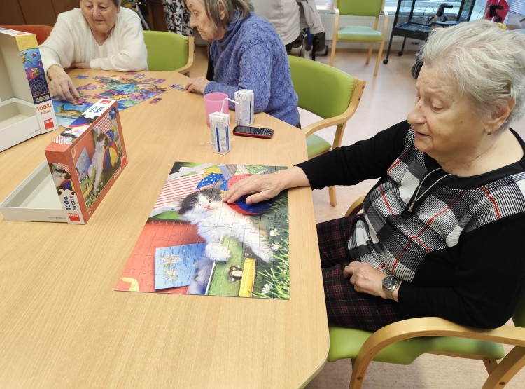 Trénování kognitivních funkcí v Centru sociálních služeb Domus